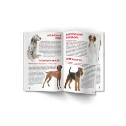 Большая книга. Охотничьи собаки