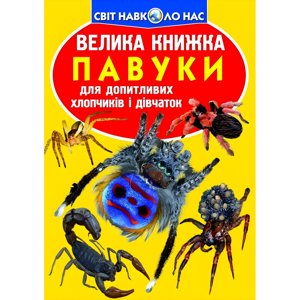 Велика книжка. Павуки. Велика книжка. Павуки.