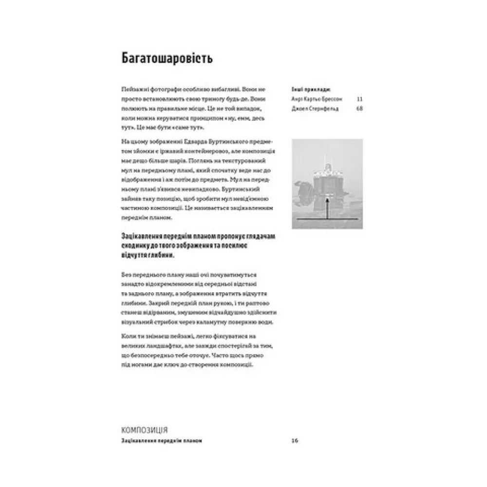Как снимать невероятные фотографии. Генри Кэрол Как снимать невероятные фотографии. Генри Кэрол