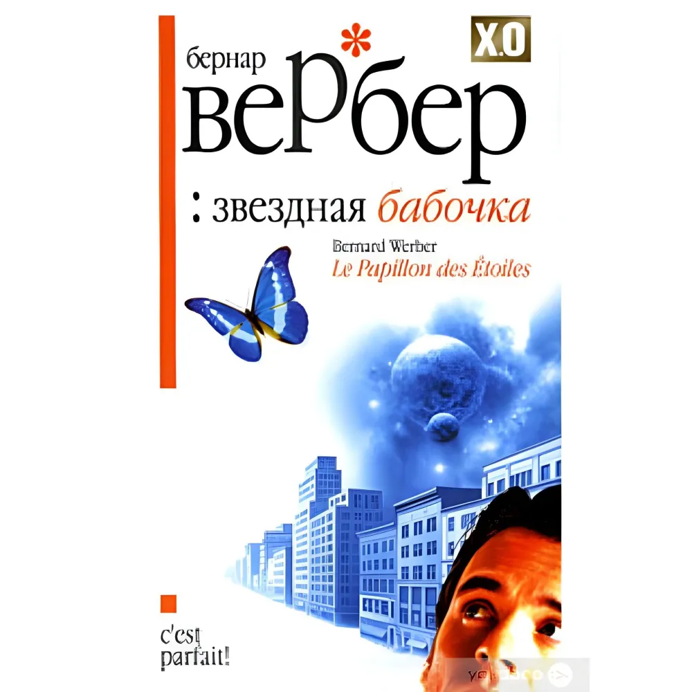 Зірковий метелик Зірковий метелик