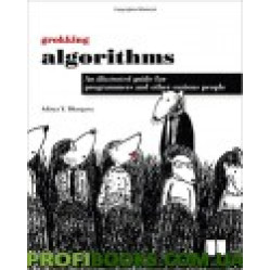 Grokking Algorithms An Illustrated Guide For Programmers and Other Curious People by Aditya