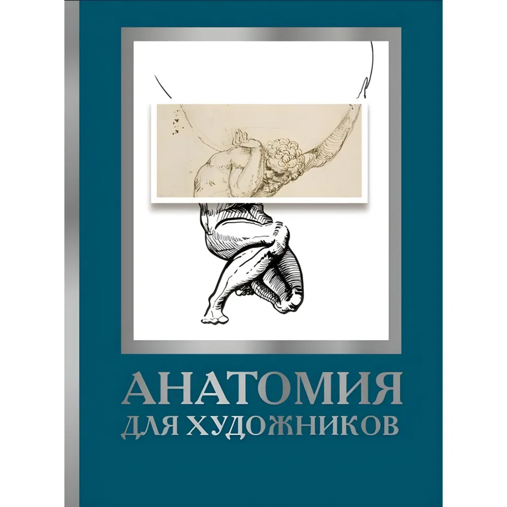 Анатомия для художников. Дженнифер Крауч Анатомия для художников. Дженнифер Крауч