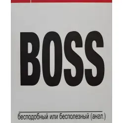 Boss бесподобный или бесполезный. Рэймонд Иммельман Boss бесподобный или бесполезный. Рэймонд Иммельман