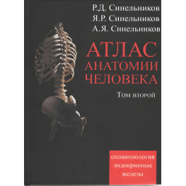 Атлас анатомии человека. В 4 томах. Том 2. Учение о внутренностях и эндокринных железах